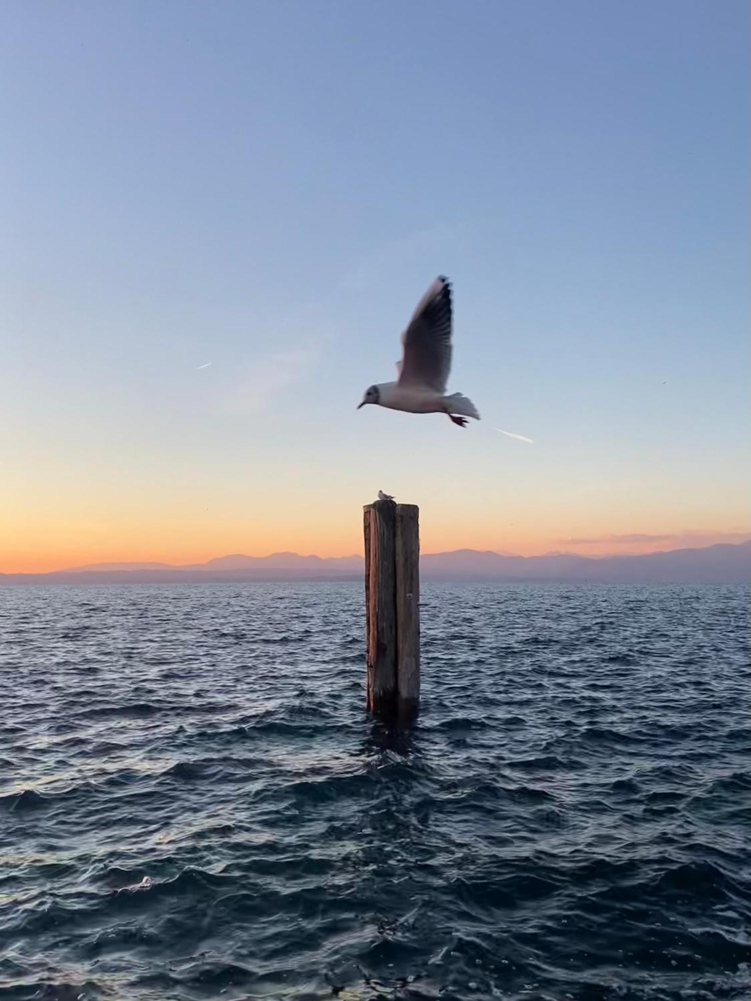 Casa Peppa Daire Lazise Dış mekan fotoğraf